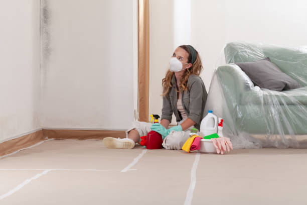 Reliable Mold Removal contractor in Oak Ridge, NJ by WQB Mold Removal